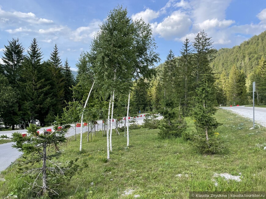 Долина зимних прыжков в летней Словении