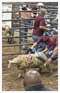 Техас: Sheep happens, или о своем, овечном