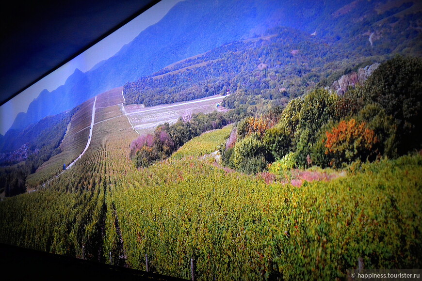 Небольшой зал с панорамой виноградного хозяйства.