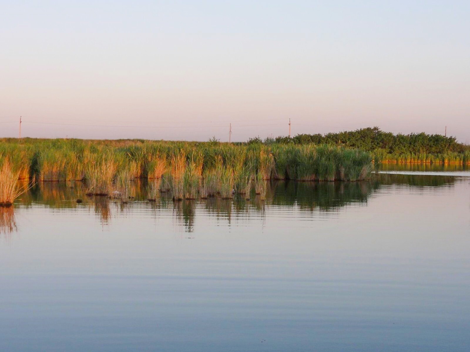 Весёловское водохранилище, Ростовская область — карта, рыбалка, базыотдыха, цены, глубины, погода, как добраться