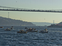 Стамбул 2021 - Прогулка по Босфору - Мосты