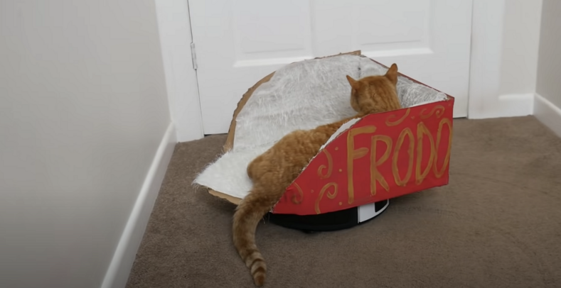 Новозеландец создает полезные гаджеты для своего 20-летнего кота Фродо