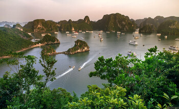Вьетнам пустит привитых туристов без карантина