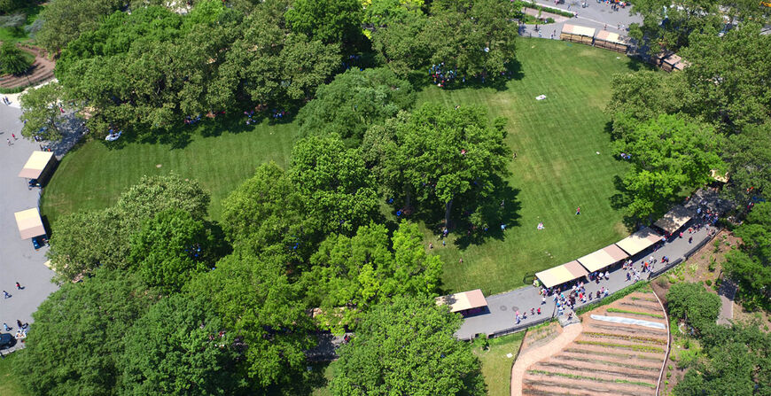 The Battery Oval