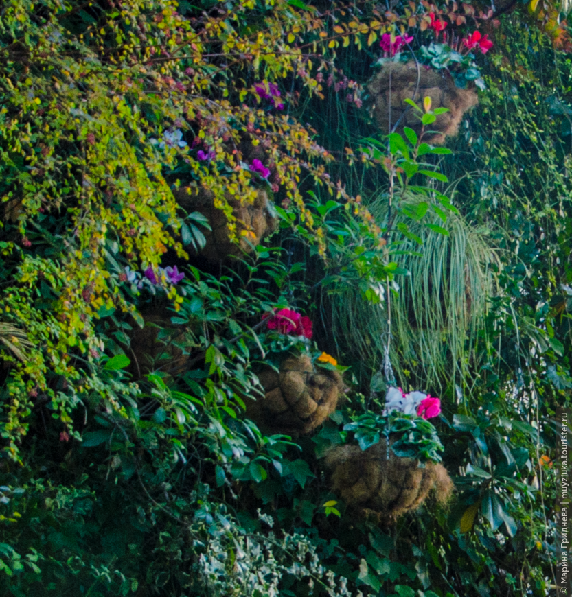 Висячий сад отеля Santo Domingo