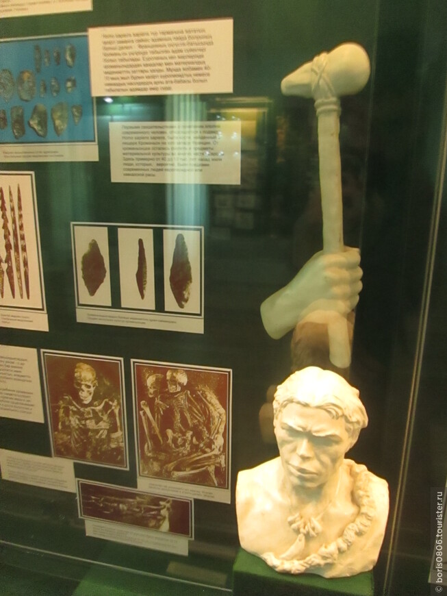 Краеведческий музей, экспозиция по археологии, от каменного века до железного