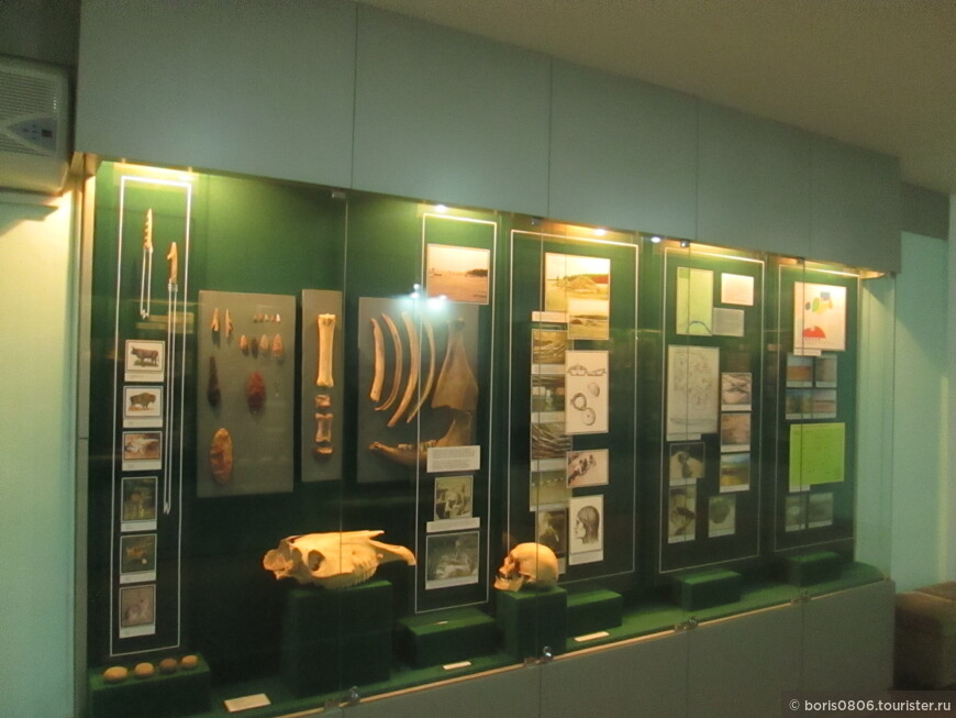Краеведческий музей, экспозиция по археологии, от каменного века до железного