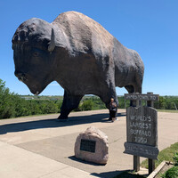 Рядом с музеем сооружён самый большой в мире бизон. Его высота - 8 м, длина - 14 м, вес - 60 тонн.