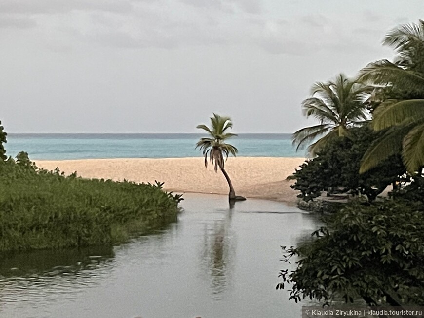 Райский день на «не Гаити» — берег ларимара, «Бухта Орлов», и самая короткая река