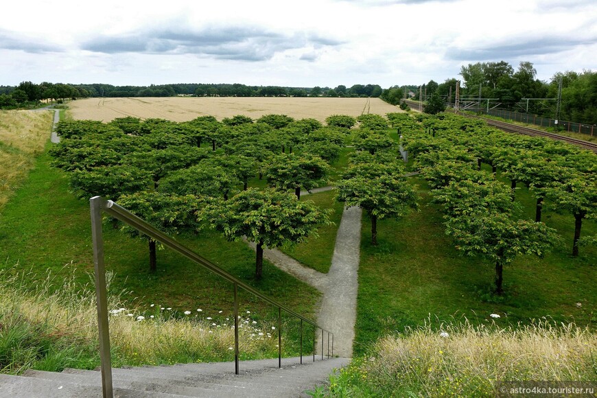 В этом парке скорби 101 дерево по числу погибших.