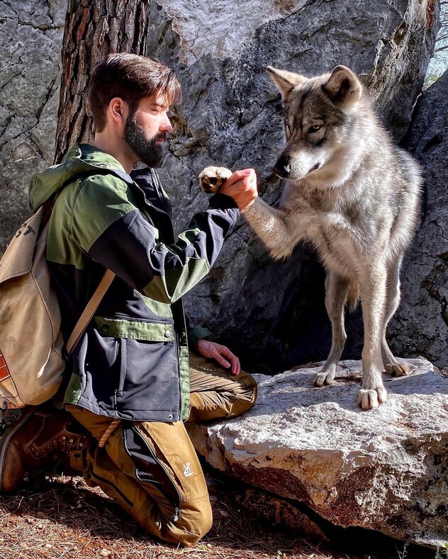 Волчий инстинкт: молодой парень путешествует по самым живописным местам планеты вместе со своим волкособом