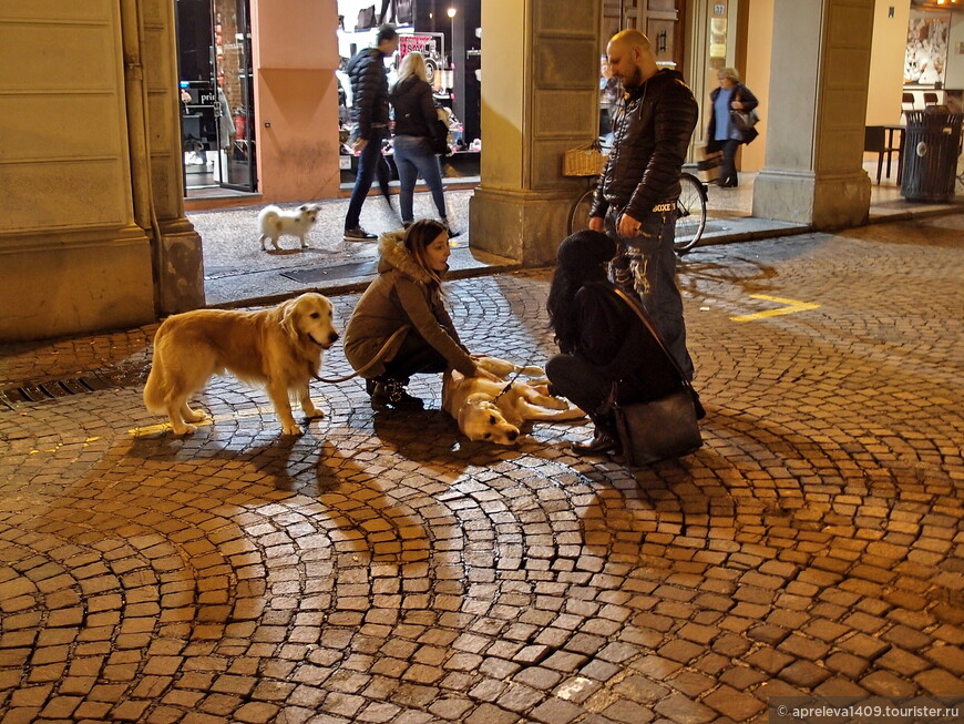 Воспоминания об Италии: Bologna di sera...  