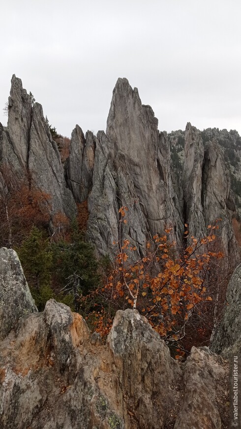 Осенняя «подставка для Луны» или как мы ходили на Двуглавую сопку