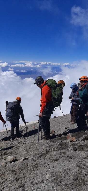 Отряд альпинистов спас бродячего пса, который провел целый месяц на вершине самого высокого вулкана Мексики