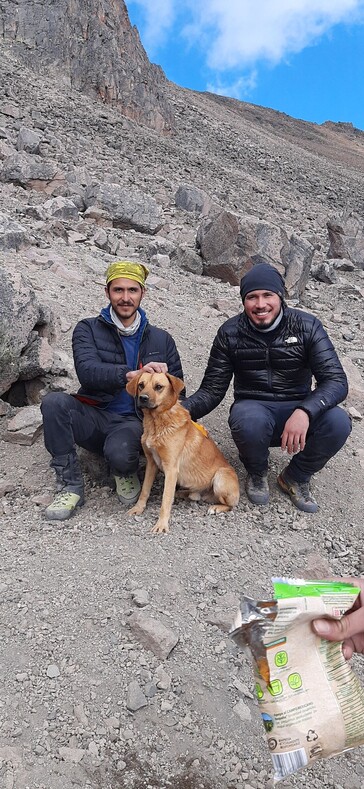 Отряд альпинистов спас бродячего пса, который провел целый месяц на вершине самого высокого вулкана Мексики