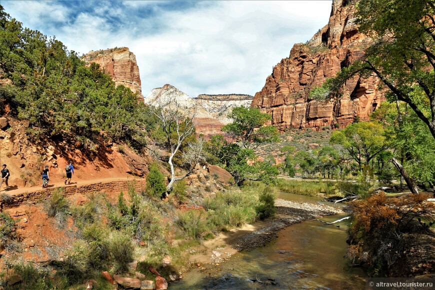 Основная часть парка Зайон расположена вокруг Девственной реки (Virgin river).