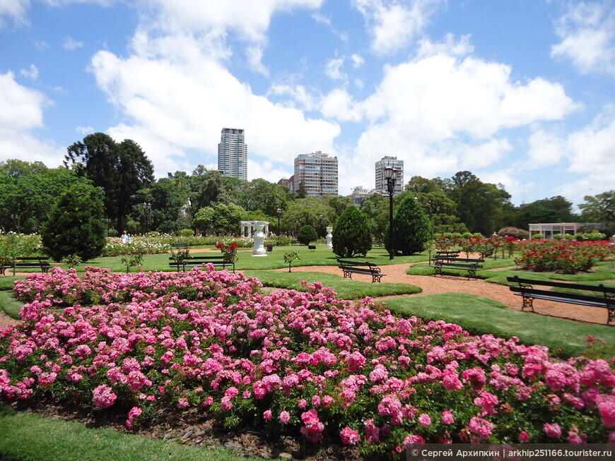 Палермо — район самых красивых парков в Буэнос-Айресе