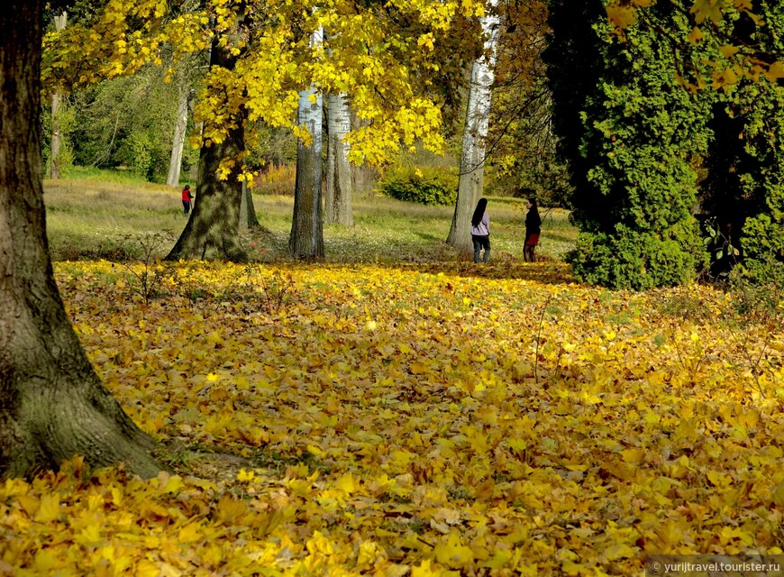 Золотая осень Украины. Парк «Александрия»