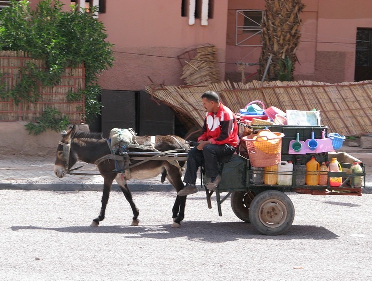 Мы едем, едем, едем, или Что такое общественный транспорт в Марокко