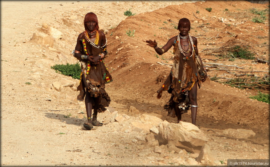 Дорожные зарисовки — Эфиопия. День 5 — родина кофе и три колоритных племени