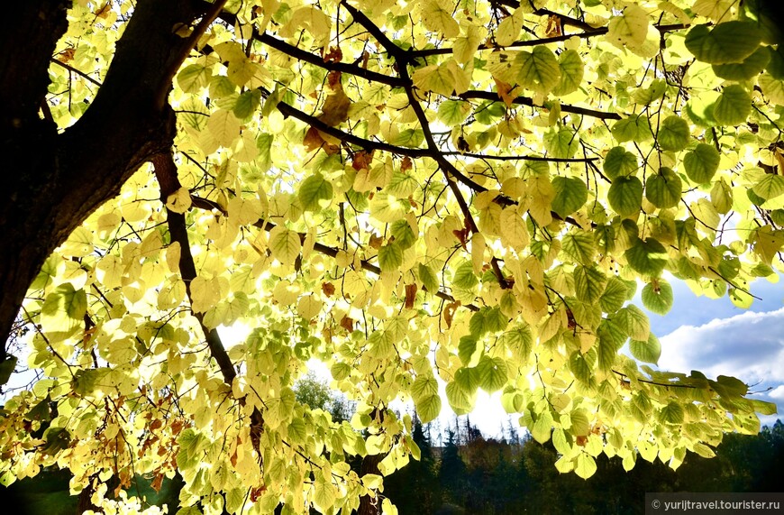 Золотая осень Украины. Парк «Софиевка»
