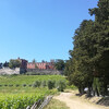 Виноградники замка Бролио