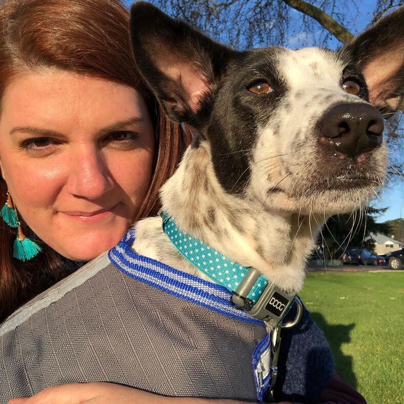 Жительница Австралии готова была потратить 45000 долларов на аренду частного самолета, чтобы перевезти свою любимую собаку, найденную на Бали