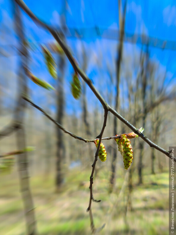 Времена года, Молдавия. Весна, часть первая.