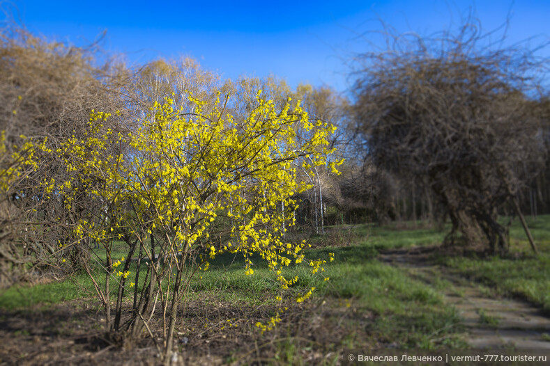 Времена года, Молдавия. Весна, часть первая.