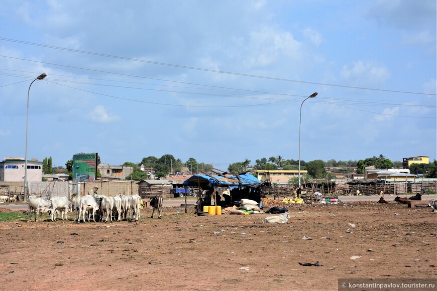 Ямусукро, столица Республики Кот-д’Ивуар
