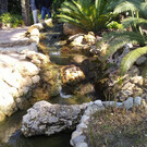 Ботанический сад Ель Уерто дель Кура