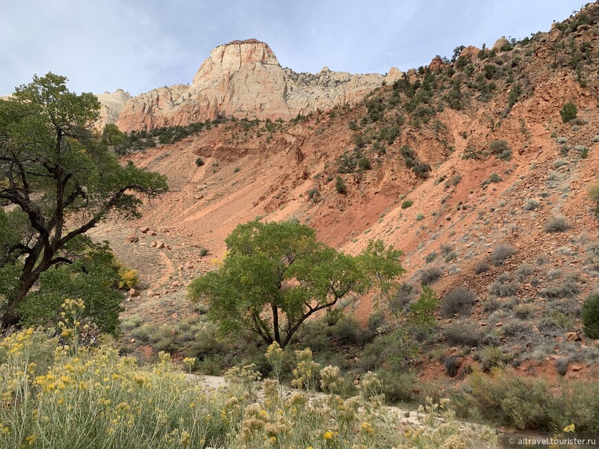 Большинство скал в парке сложены из песчаника Навахо.