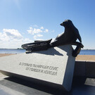 Памятник тюленю в Архангельске