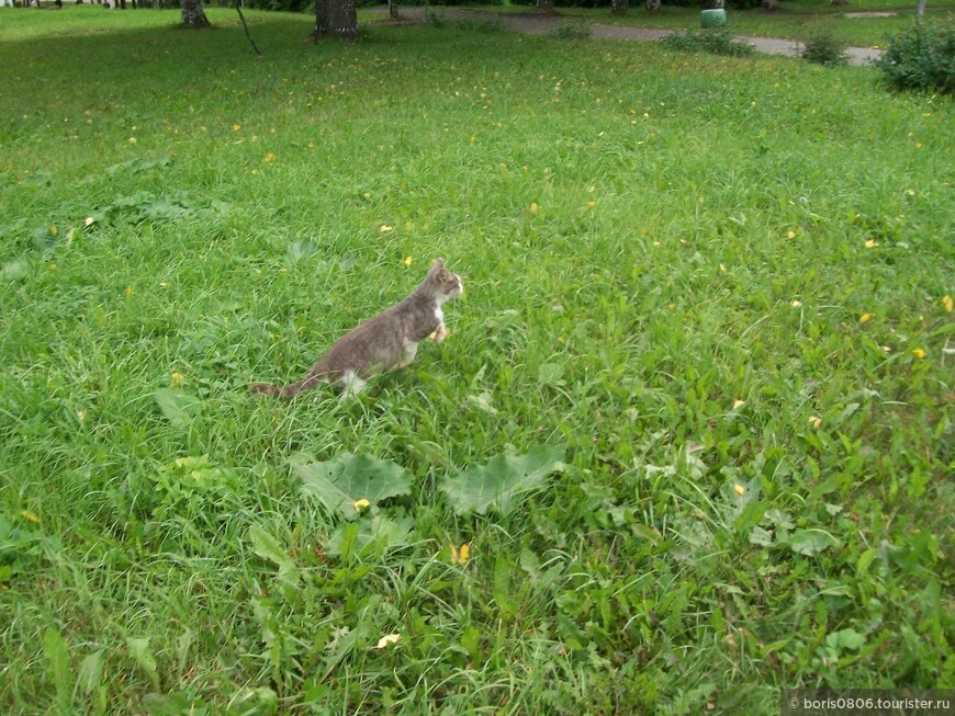 Поездка из Котласа в Великий Устюг в конце лета