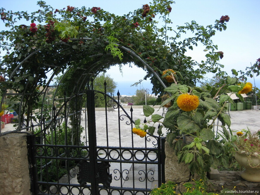 Горькие лимоны Северного Кипра. Беллопаис