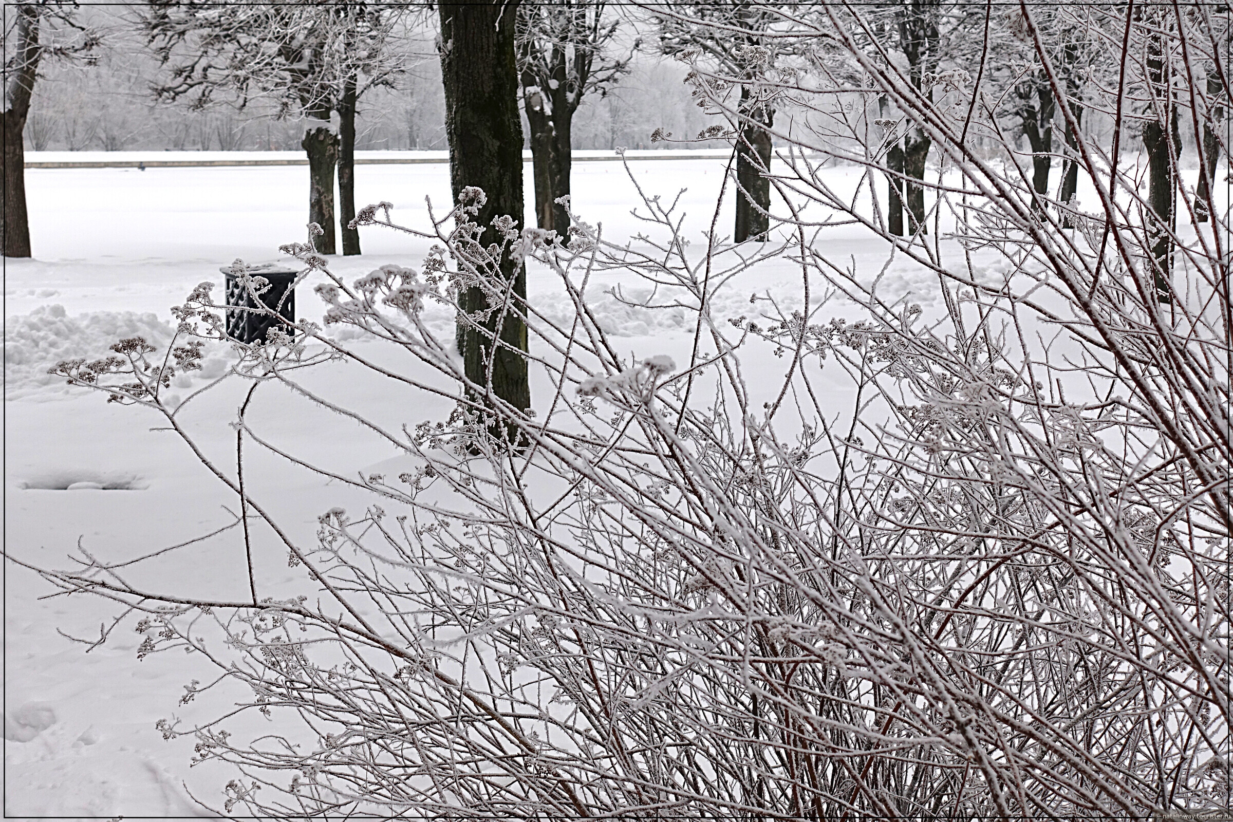 Снегом укрыты дома. Укрытие снегом растений. Деревья тоже укрывают снег. Снег укрывает поле битвы фото.