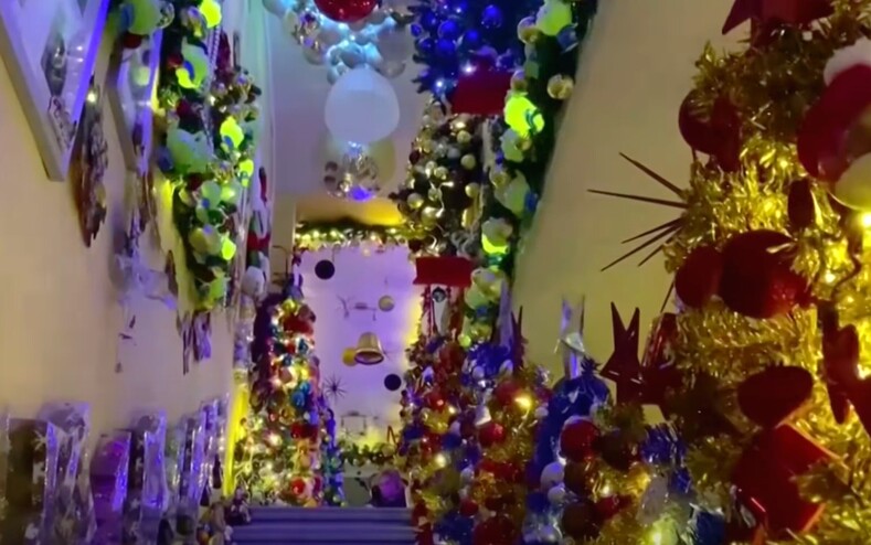 Супруги установили мировой рекорд, поставив в своем доме 444 елки: видео о том, как жилье выглядит внутри