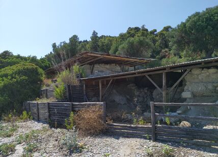 Archaeological_site_of_Mende_08.jpg