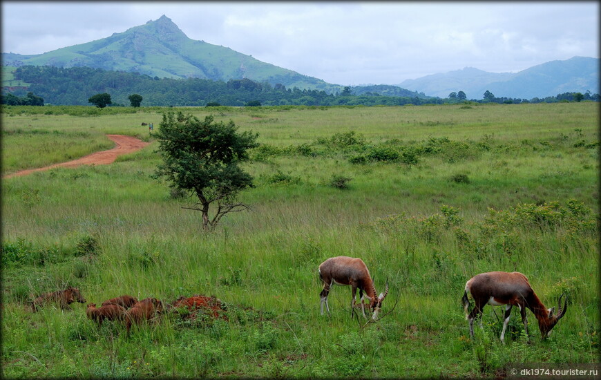 Каникулы в Свазиленде ч.1 - королевство Эсватини 