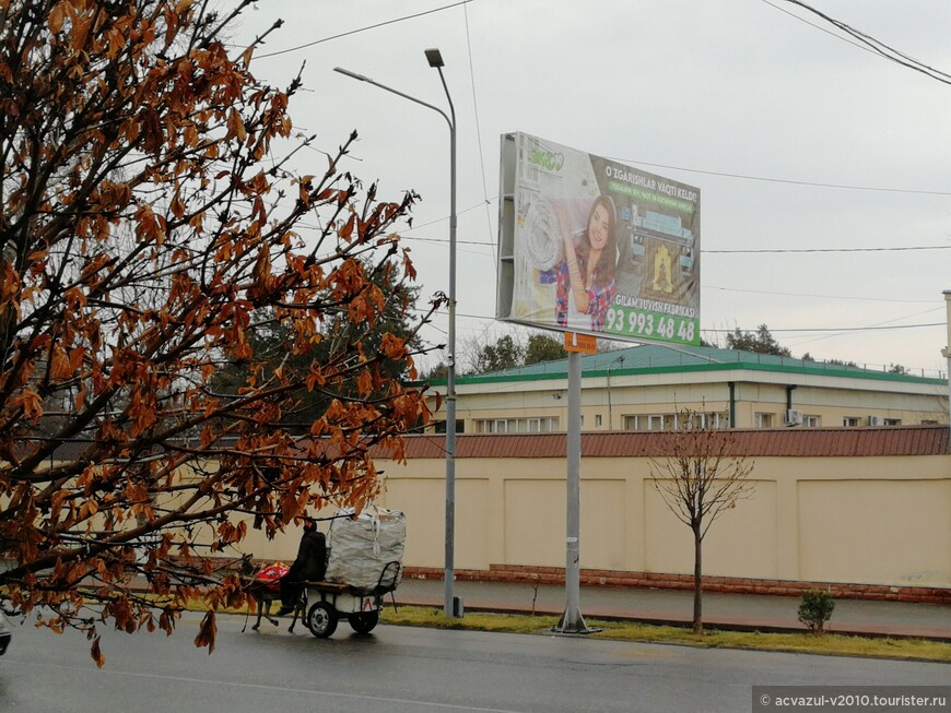 В новогоднем тучном граде Самарканде...