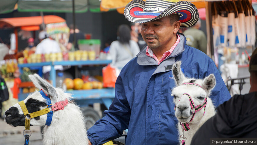 Большое путешествие по Центральной Америке. Колумбия. Начало