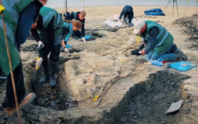 Ученые раскопали девятиметровый скелет «морского дракона», который жил 180 лет назад (известно, как это существо выглядело — фото и видео)