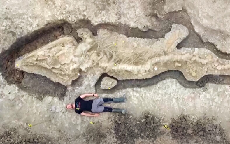 Ученые раскопали девятиметровый скелет «морского дракона», который жил 180 лет назад (известно, как это существо выглядело — фото и видео)