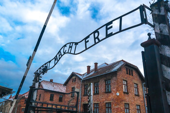Туристку из Нидерландов арестовали за нацистское приветствие в Освенциме 