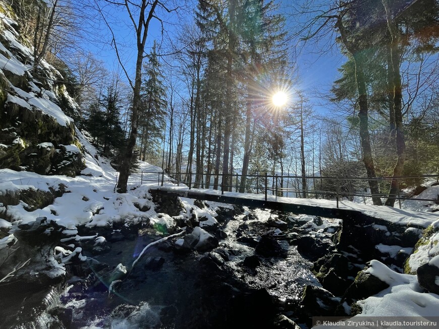 Мороз и солнце, день чудесный. Водопад, рольбан и город Тодтнау