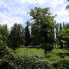 Городской парк Тивата
