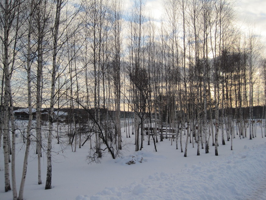 Зимовье зверей: Ярославский зоопарк (14.01.2012)