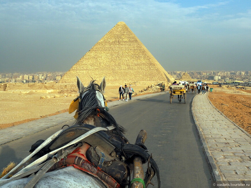 Если вас обманули в Каире, не огорчайтесь...  