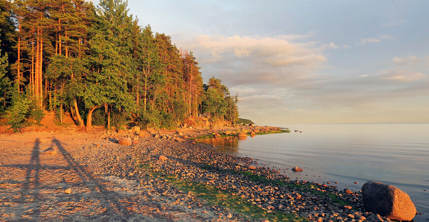 Финский залив<br> в Санкт-Петербурге