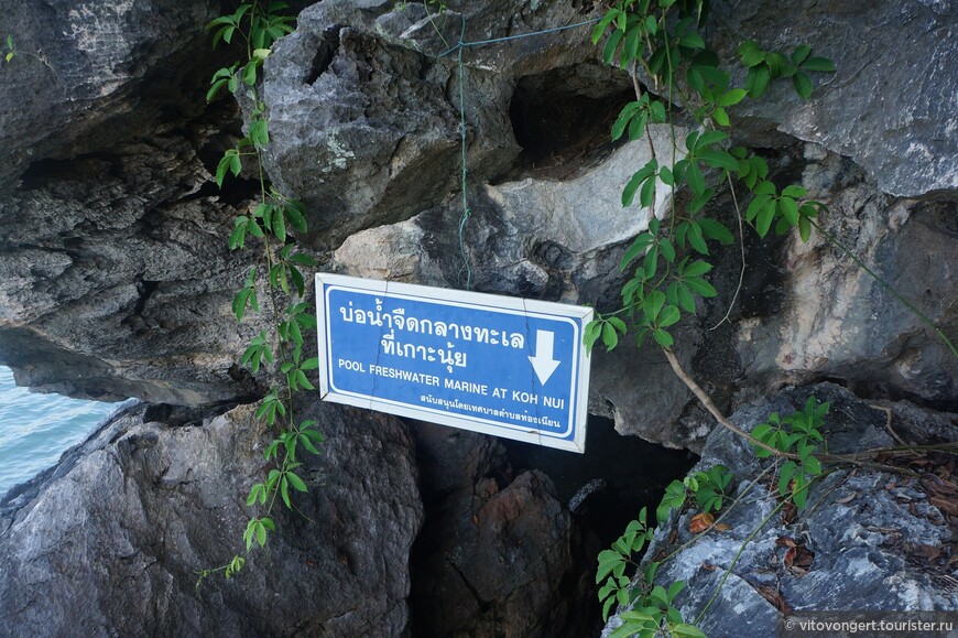 Наша самостоятельная поездка с острова Самуи до городка Кханом (Khanom) провинция Накхонситхаммарат Таиланд (Часть 1)